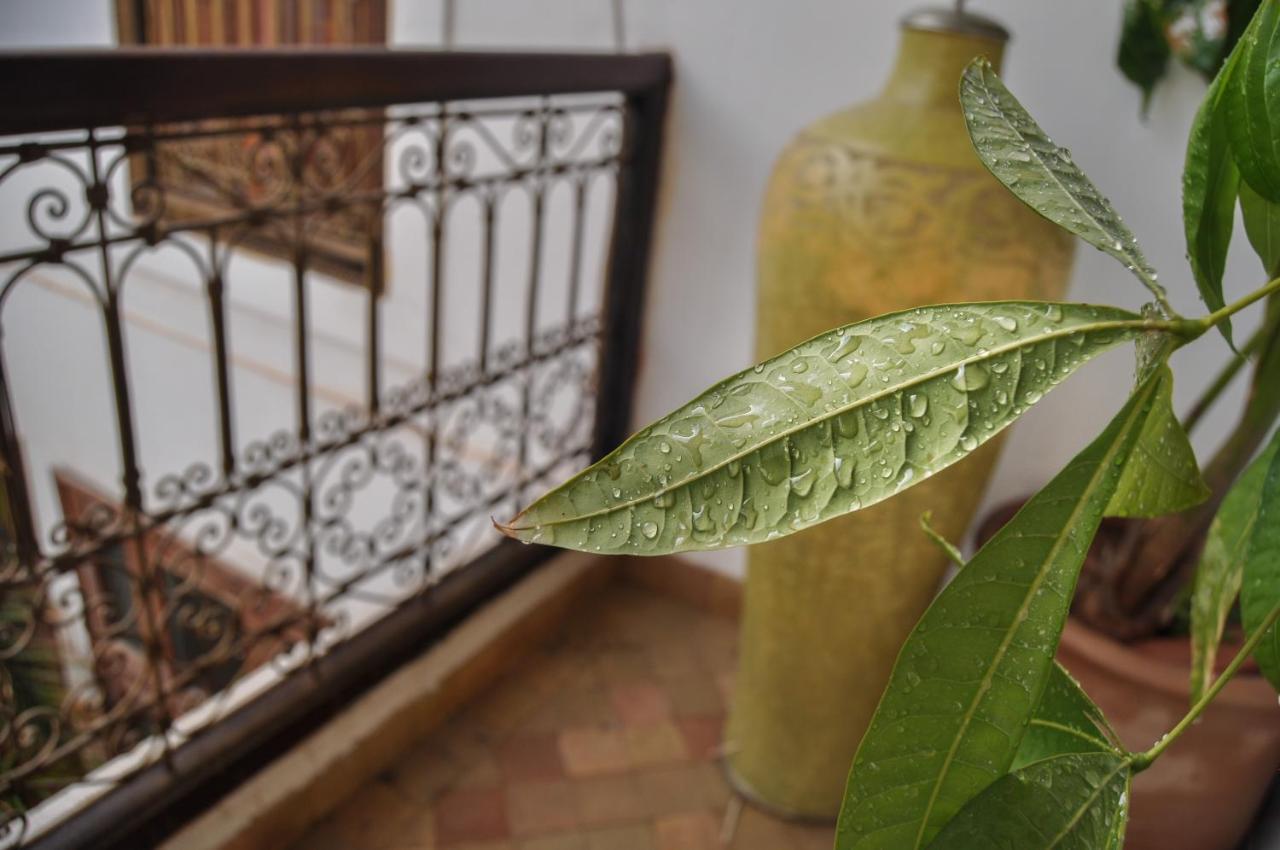 Hotel Riad Mandalay Marakéš Exteriér fotografie